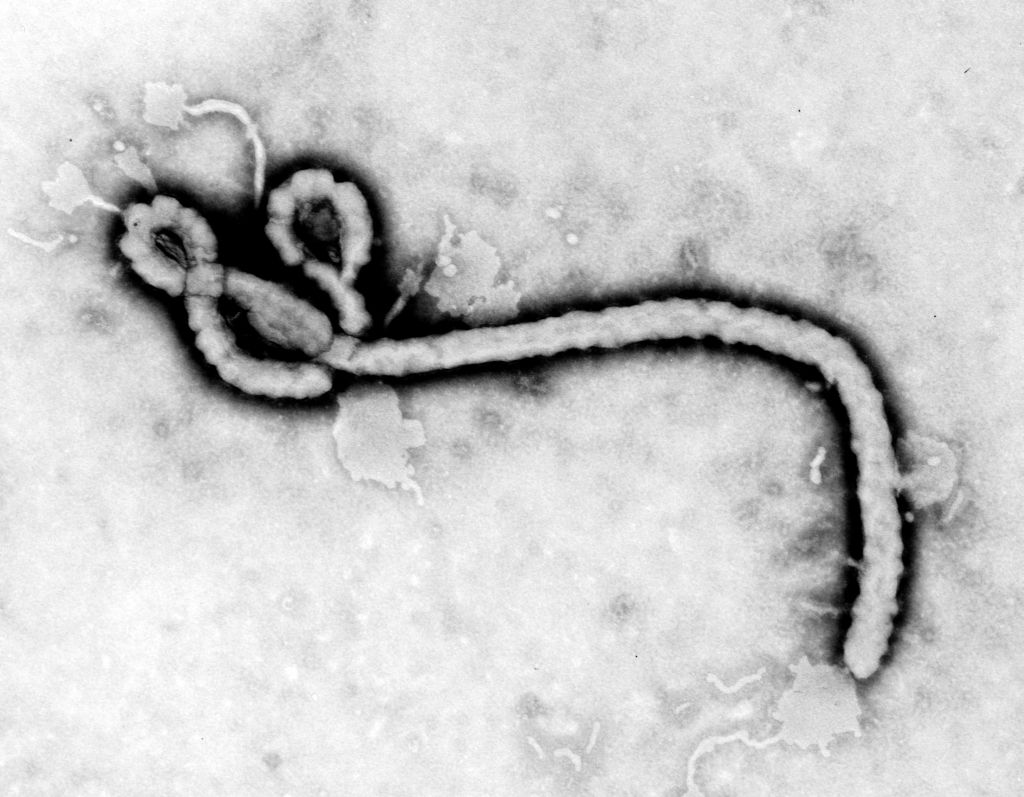 El virus del Ébola trastoca los planes de las petroleras en África