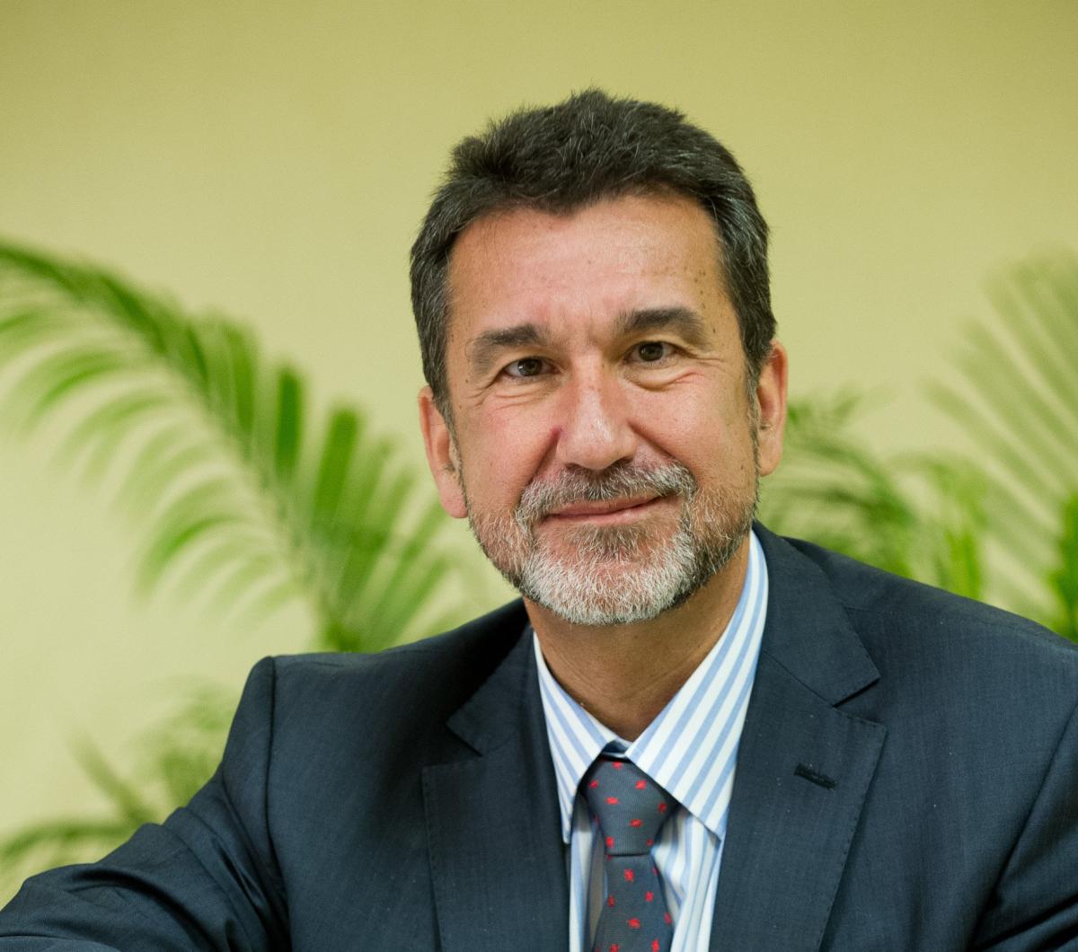 Peris (Gas Natural) ve "primordial" adaptar infraestructuras para aprovechar el potencial del gas renovable