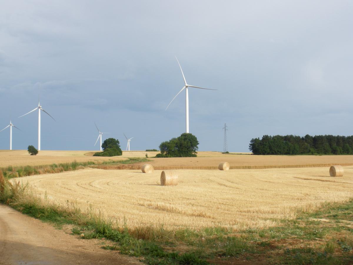 Enel sigue haciendo caja y abandona el negocio de renovables en Francia