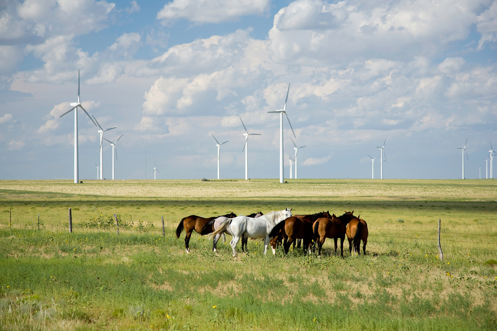 Iberdrola construye un parque eólico en EEUU para la multinacional Amazon