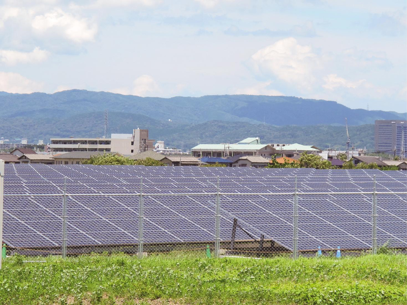 SoftBank y Sharp crearán una empresa conjunta para gestionar plantas solares