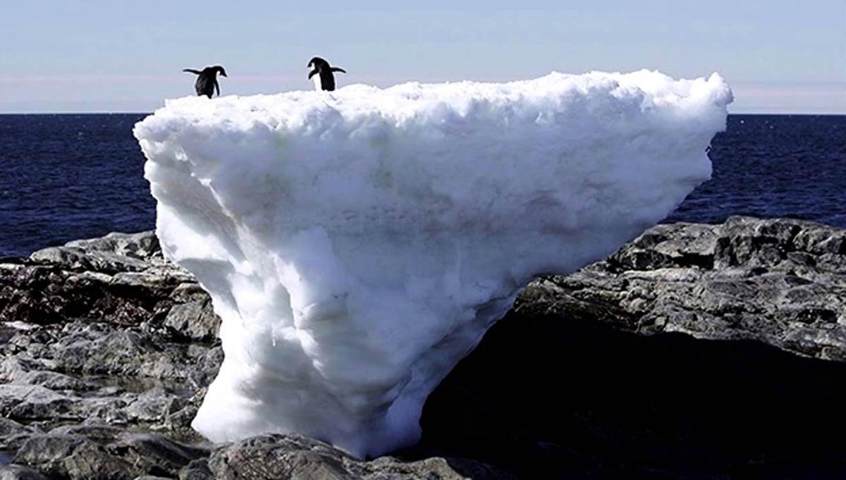 El año 2015 fue el más cálido jamás registrado en la Tierra