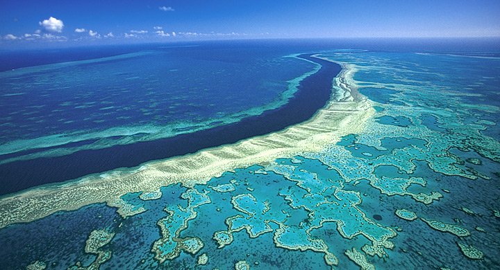 Australia expandirá una terminal de carbón cerca de la Gran Barrera de Coral