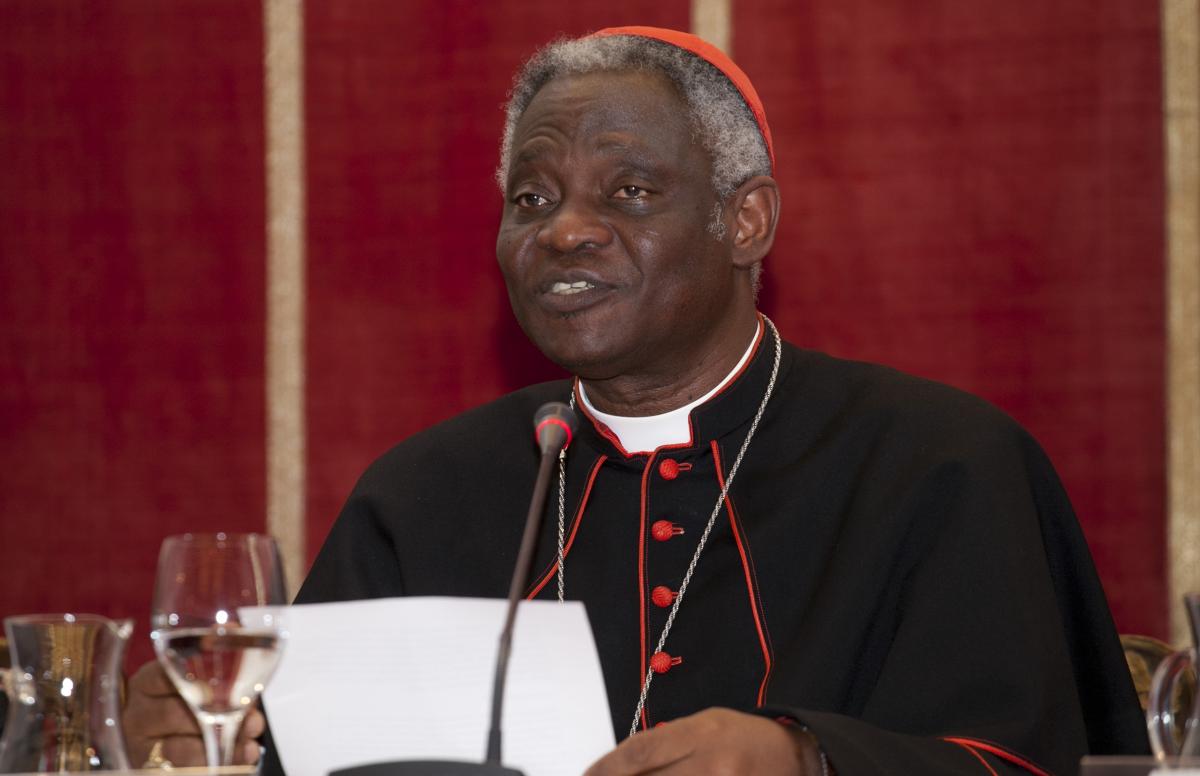 El Cardenal Turkson pide una &quot;conversión ecológica&quot; ante el cambio climático