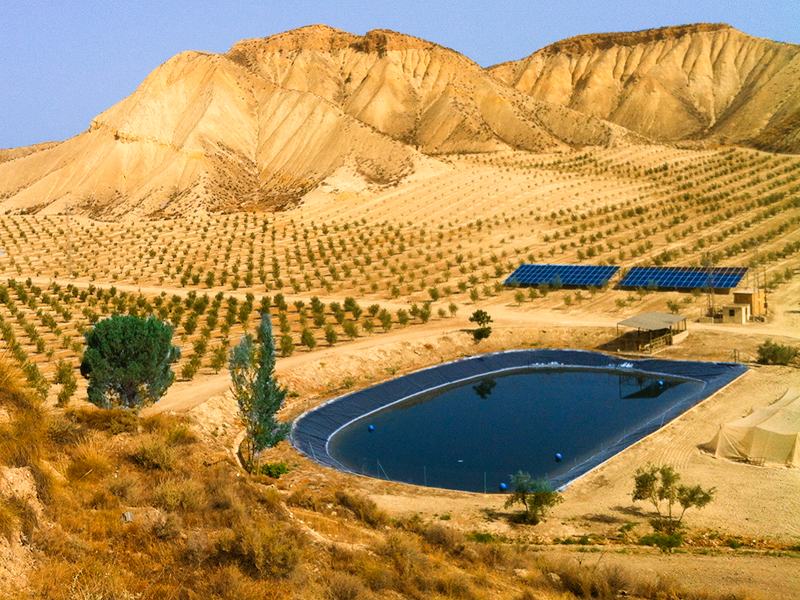 La energía solar se alía con la agricultura