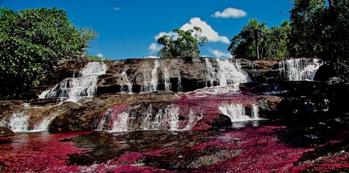 Colombia suspende la licencia de exploración a Hupecol para garantizar el ecosistema de Caño Cristales