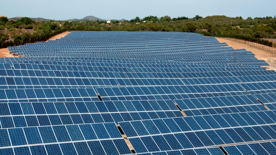 Una organización ecologista alega contra un parque fotovoltaico en Baleares