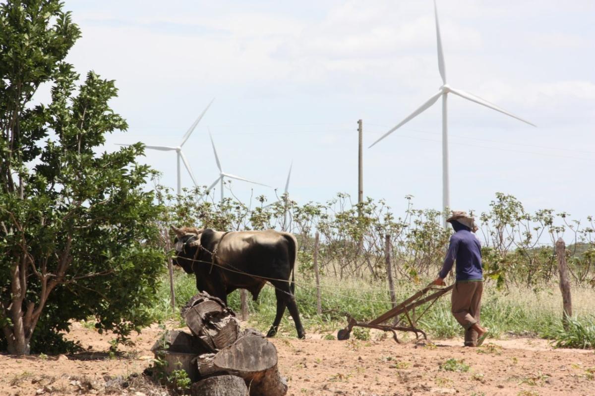 Iberdrola pone en marcha su mayor instalación eólica de América del Sur