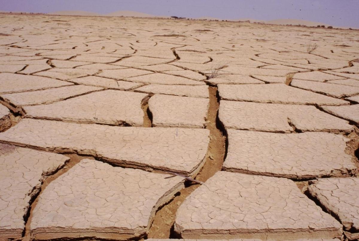 Los Veintiocho se comprometen a ratificar cuanto antes el Acuerdo del Clima de París