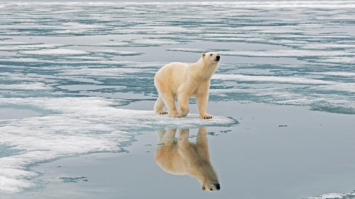 Greenpeace  urge a España y al resto de la UE a que ratifiquen sin falta el acuerdo contra el cambio climático