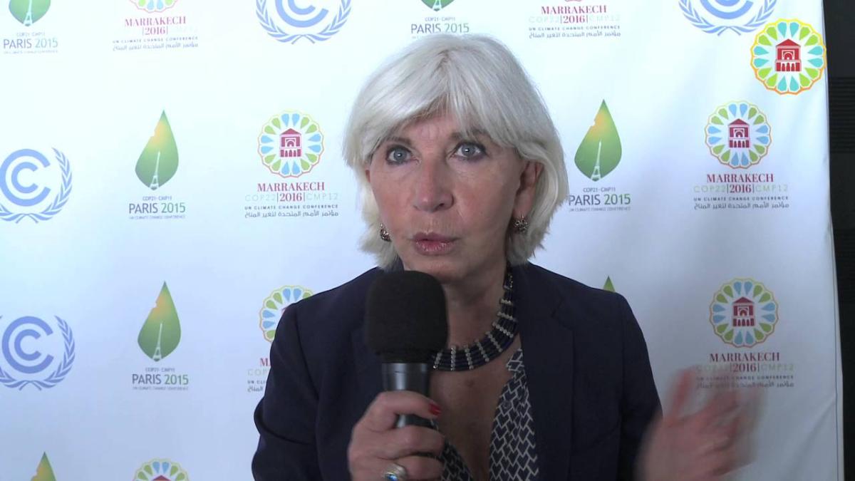 La COP22 quiere convencer al sector privado para financiar proyectos verdes