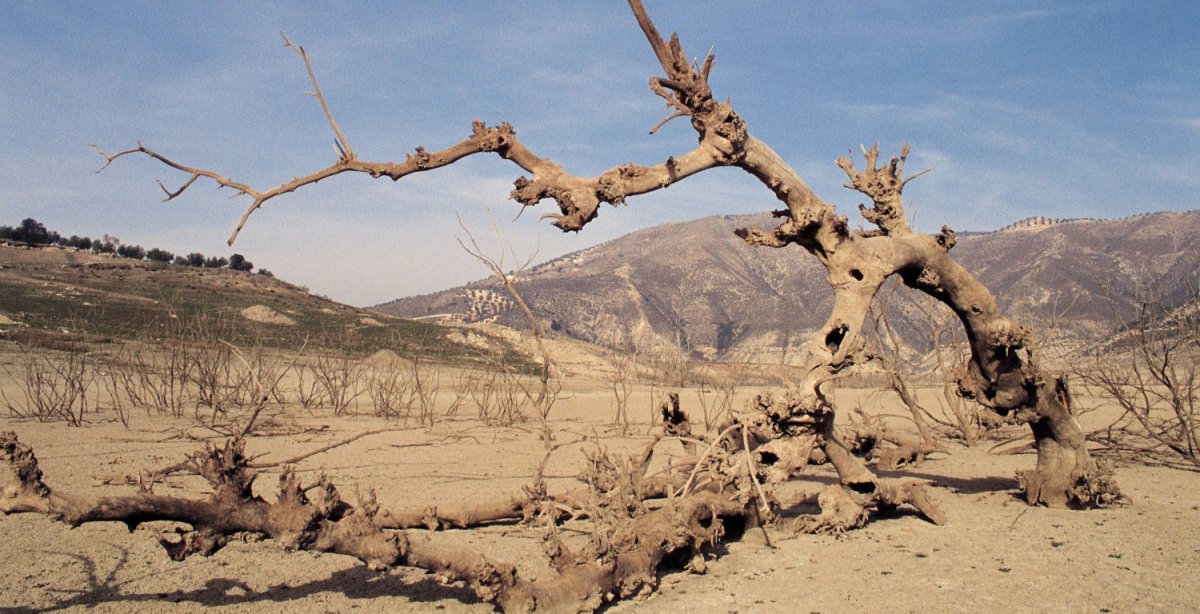 El cambio climático provocará el doble de sequías en Andalucía y un 80% más de inundaciones en Santiago a partir de 2050