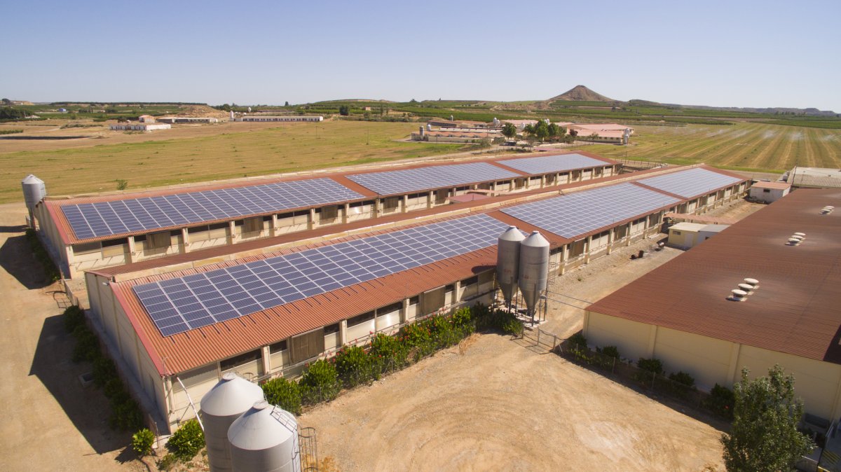 Viesgo Solar, la solución de autoconsumo más innovadora de España: presupuesta una instalación en menos de un minuto