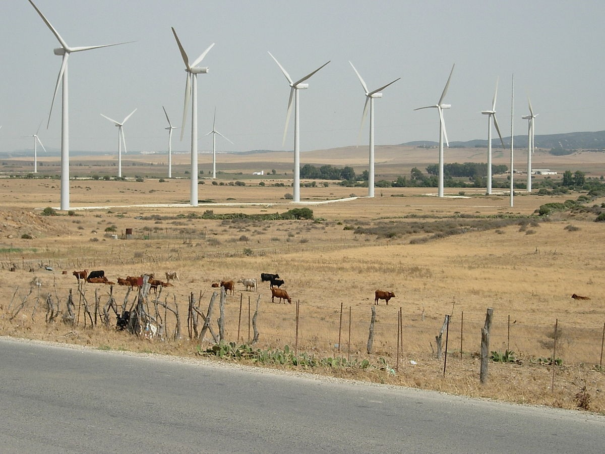 Andalucía será la región con el mayor contrato eléctrico con garantías de origen 100% renovable de una administración pública