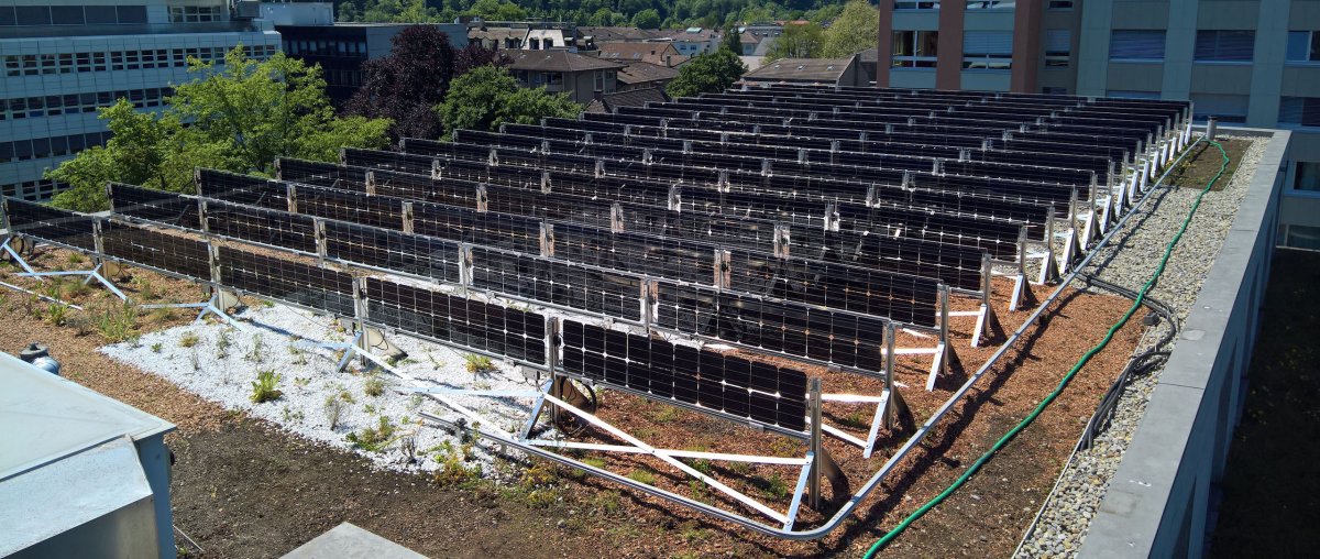 Investigadores suizos prueban sistemas fotovoltaicos en azoteas ajardinadas
