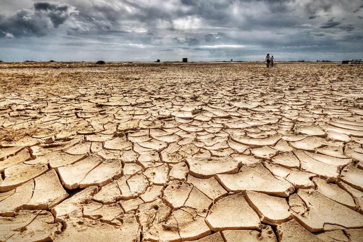 Mario Rodríguez (Greenpeace): “El gobierno quiere declarar la 'emergencia climática' sin contenido"