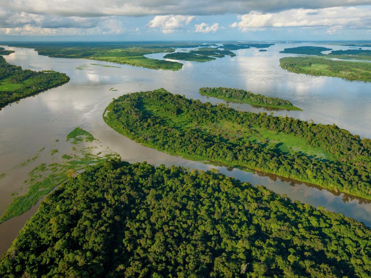 Global Witness denuncia que el Congo quiere permitir la explotación petrolífera en parques protegidos