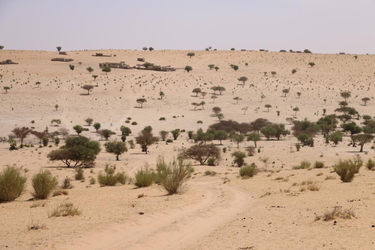 La energías renovables podrían cambiar los patrones climáticos de los desiertos