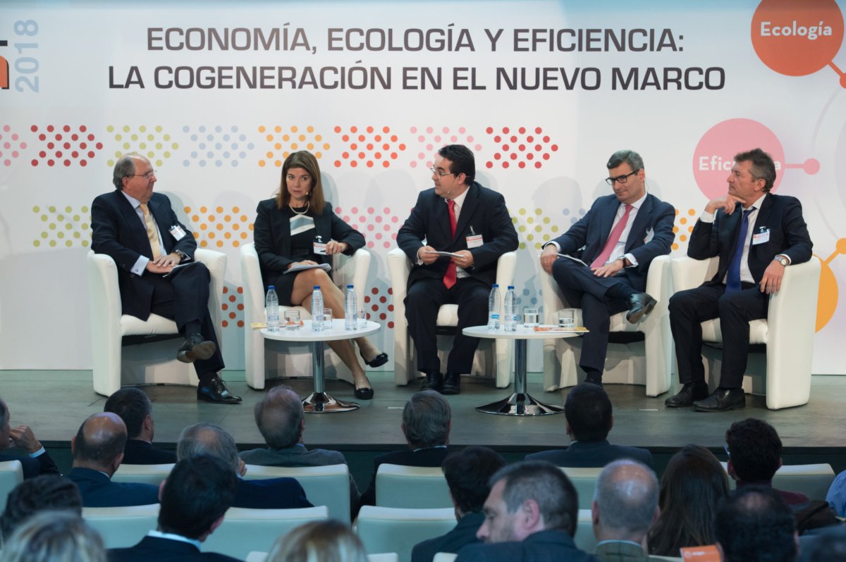 La cogeneración necesita extender la vida útil de sus instalaciones para evitar que en dos años cierren unas 50 plantas
