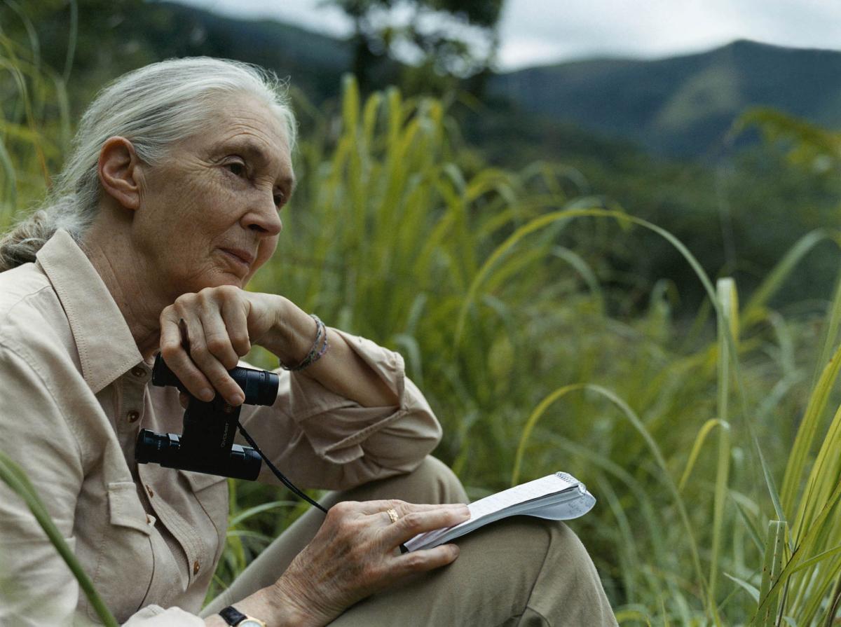 Jane Goodall: hay que ir más allá de las buenas intenciones para salvar el planeta