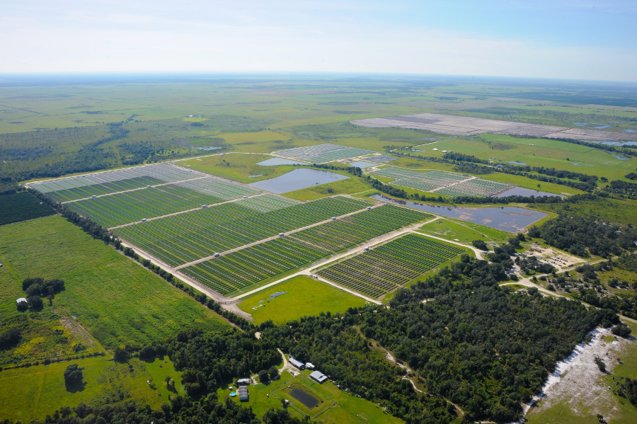 Florida Power planea la batería más grande del mundo combinada con energía solar