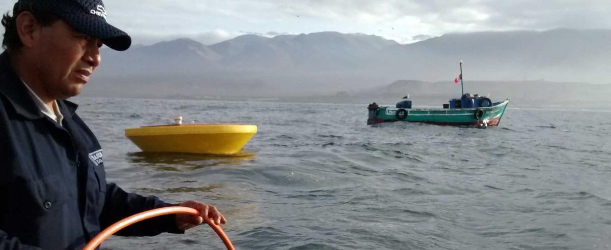 OceanBased planea cientos de megavatios de energía marina frente a la costa de Florida