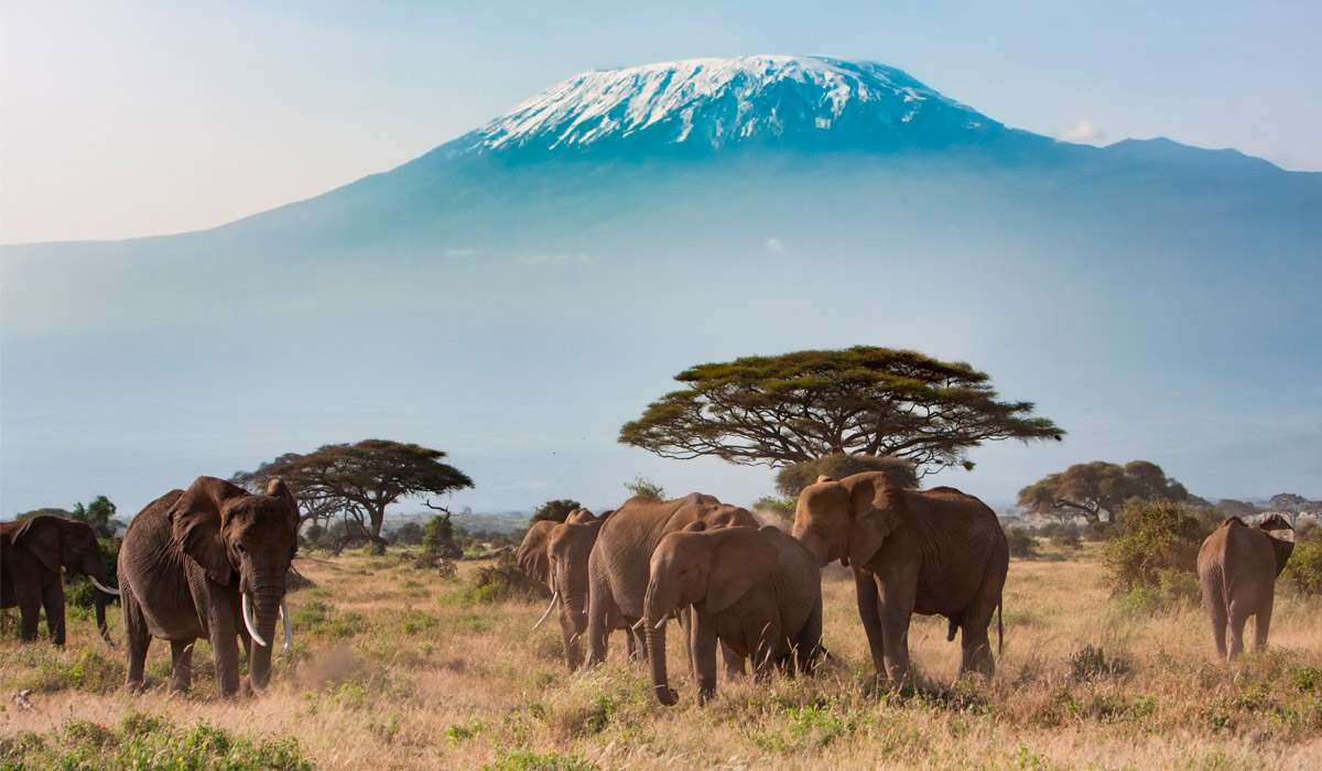 Tanzania construirá la cuarta central hidroeléctrica más grande de África, de 2.115 MW, en mitad de una reserva natural Patrimonio de la Humanidad