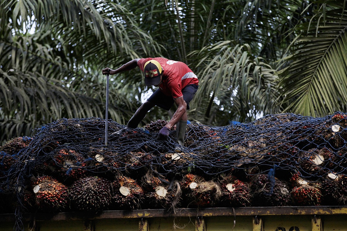 Bruselas impone aranceles provisionales a las importaciones de biodiésel de Indonesia