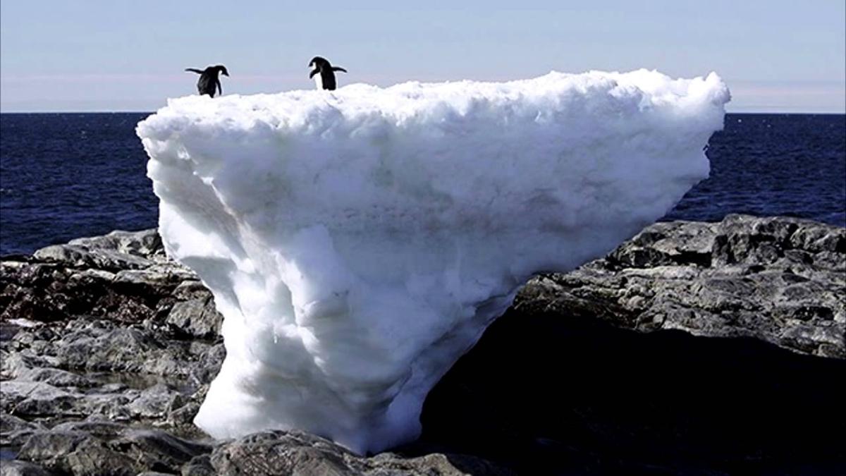 Las temperaturas de julio de 2019 han sido las más altas jamás registradas a nivel mundial