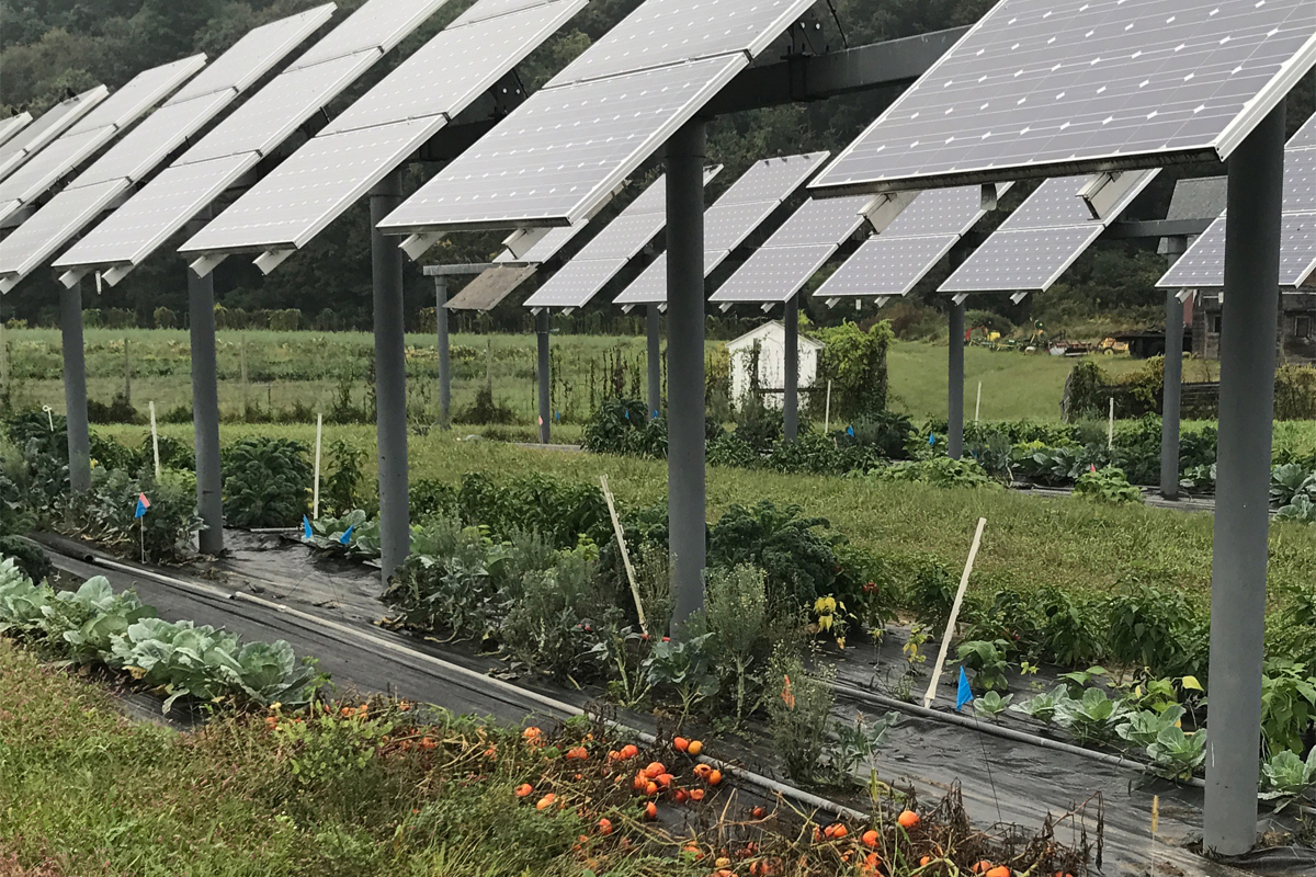 El Gobierno baraja nuevas tarifas para bajar los costes eléctricos del agricultor