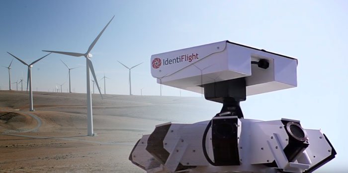 IdentiFlight prueba en Australia su tecnología de detección aérea que protege las aves en parques eólicos