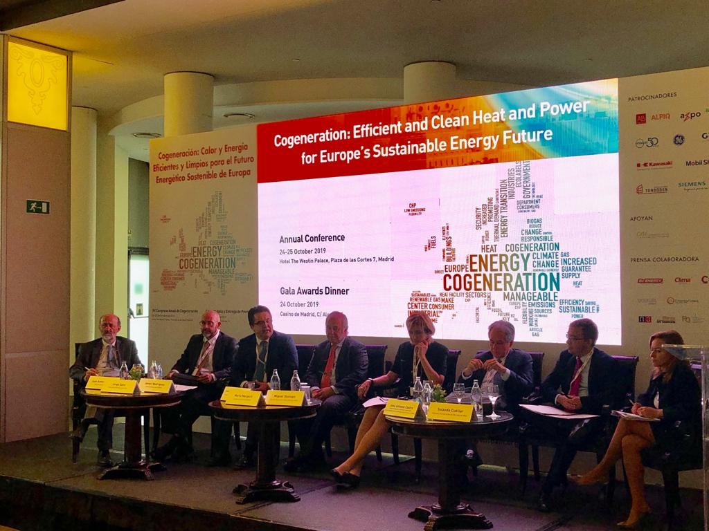 Díez de Ulzurrun (Enagás): La electrificación no es la panacea