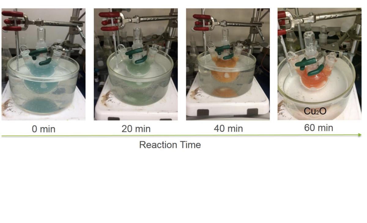 Crean una 'hoja artificial' que convirte CO2 en metanol y oxígeno