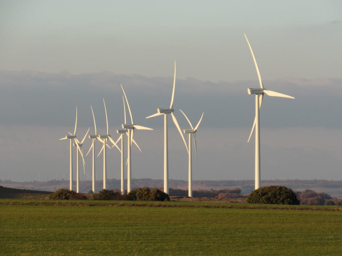 La energía eólica será clave para lograr la neutralidad en carbono de la UE para 2050