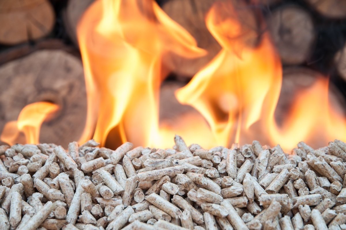 Cuando sustituir el carbón por biomasa no es la solución para luchar contra el cambio climático