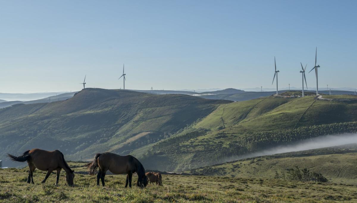 Norvento conecta los seis parques eólicos que ha construido en Galicia para un total de 128 MW