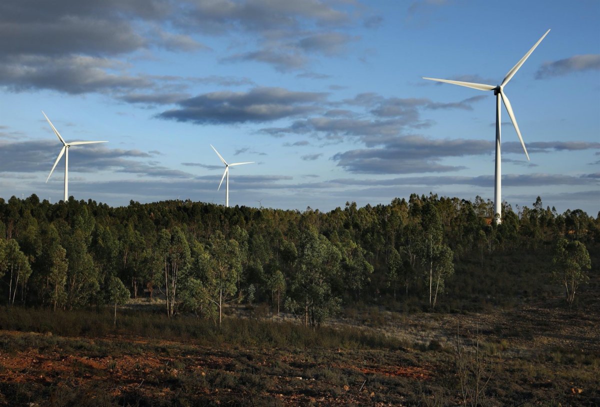 Iberdrola avanza en tres proyectos renovables en España de 211 MW, a pesar de la amenaza del coronavirus