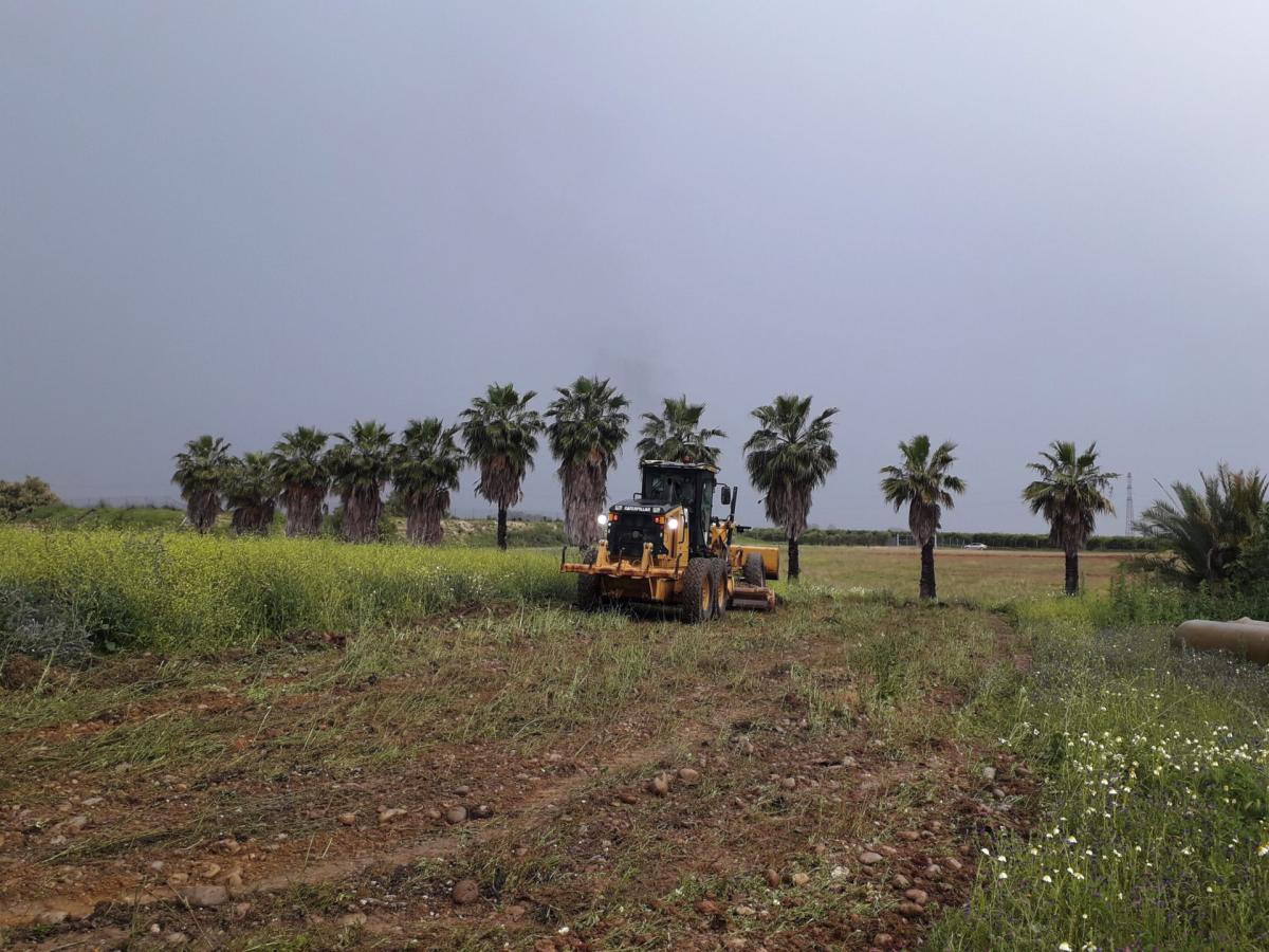 Endesa inicia la construcción de una segunda planta fotovoltaica de 50 MW en Carmona (Sevilla)