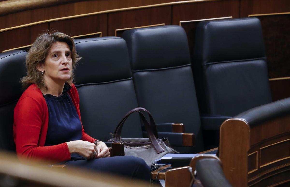 Ribera anuncia un fondo de ayuda al transporte público terrestre