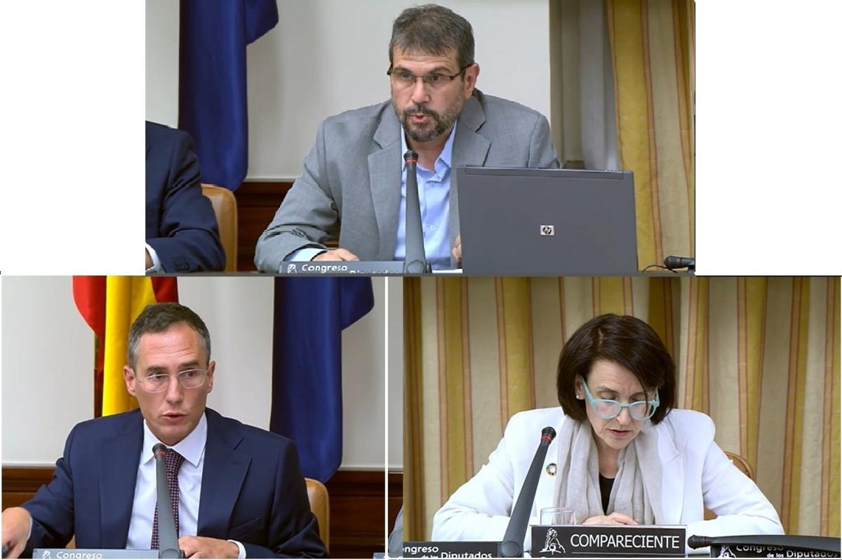 La CNMC asigna a Josep Salas y Carlos Aguilar a la Sala de Competencia y a Pilar Sánchez a Supervisión Regulatoria