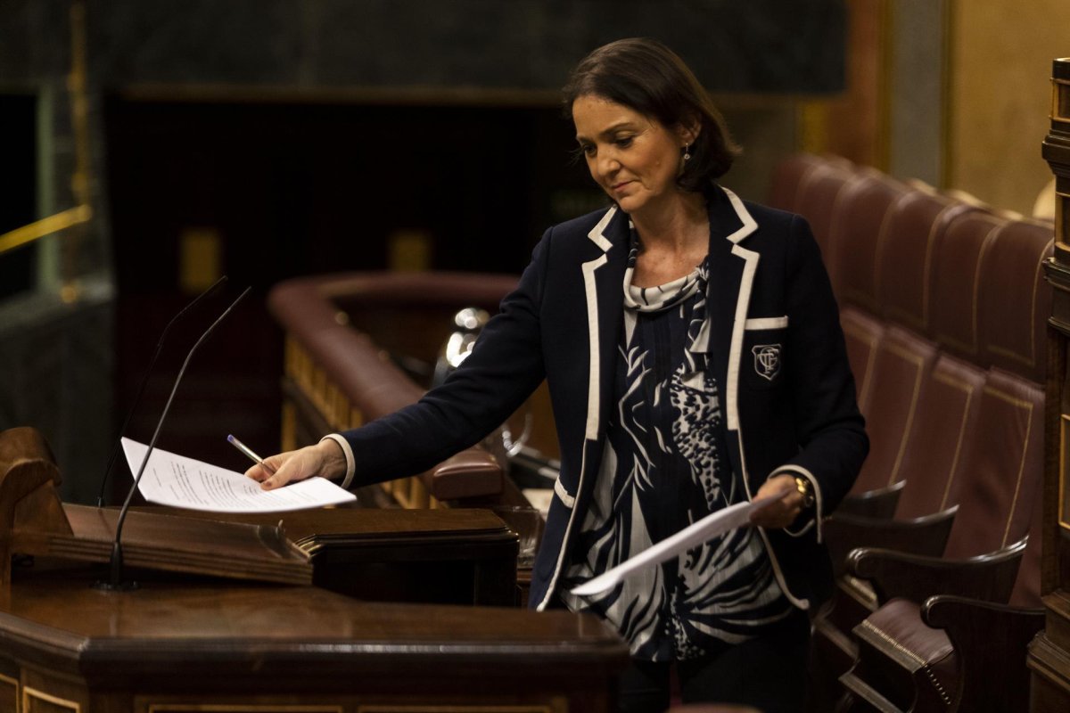 El Congreso urge al Gobierno a aprobar "cuanto antes" el estatuto para la industria electrointensiva