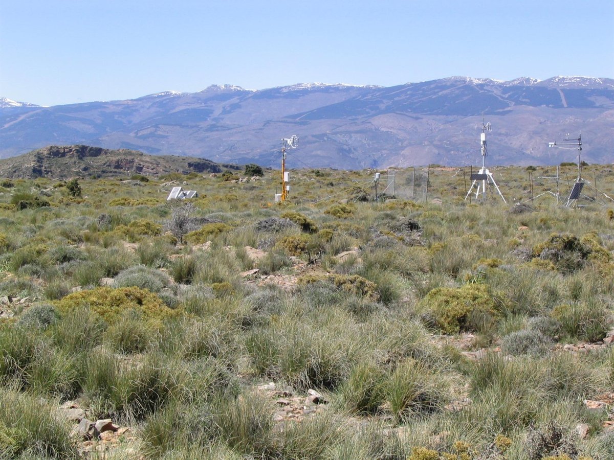 Elaboran una base de datos mundial de mediciones de intercambio de CO2, agua y energía entre la biosfera y la atmósfera