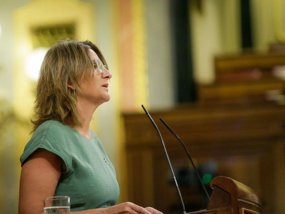 Ribera anticipa cambios en los criterios de acceso al transporte y la distribución de electricidad