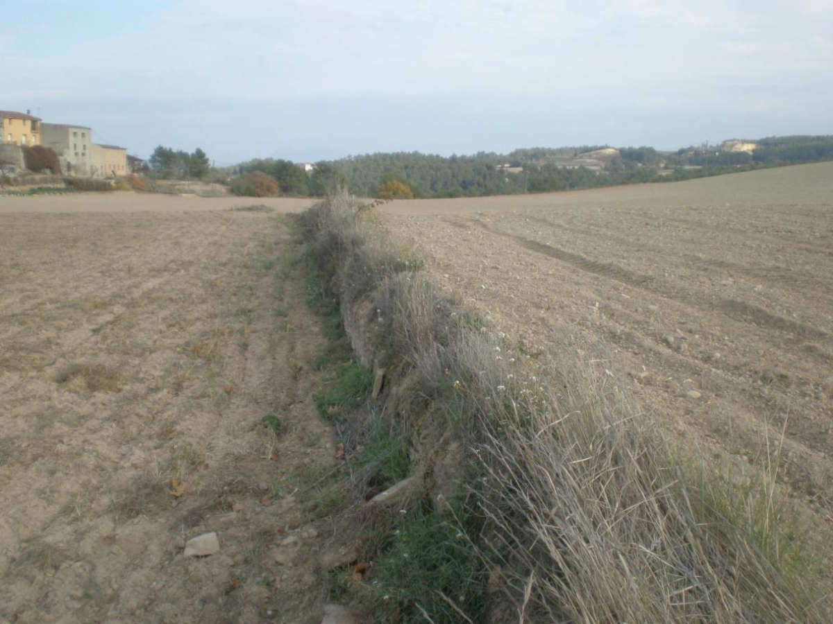 Cataluña tumba más de la mitad de los nuevos proyectos de fotovoltaica: el culpable, el departamento de Agricultura