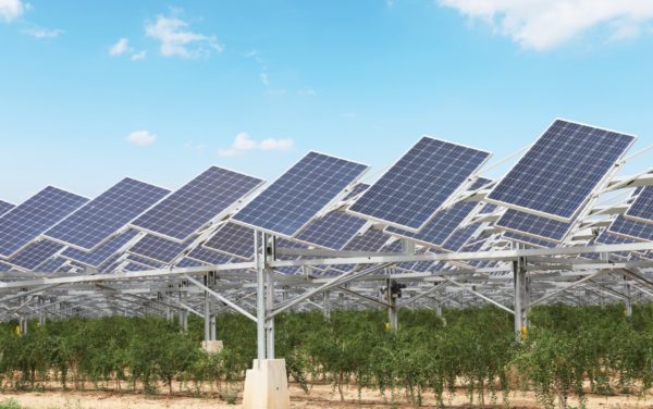 La energía solar hace simbiosis con un sector agrario cada vez más verde