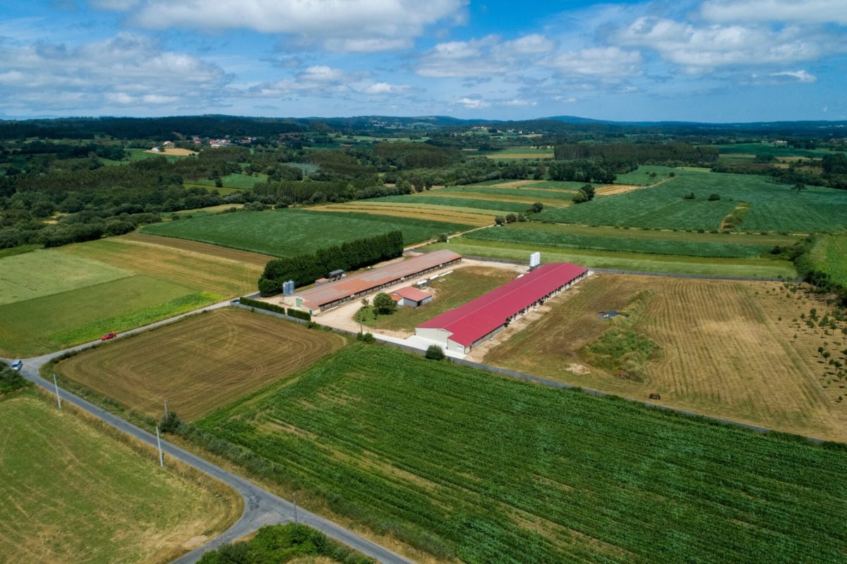 Primagas comercializa el primer suministro de biopropano de la historia en España