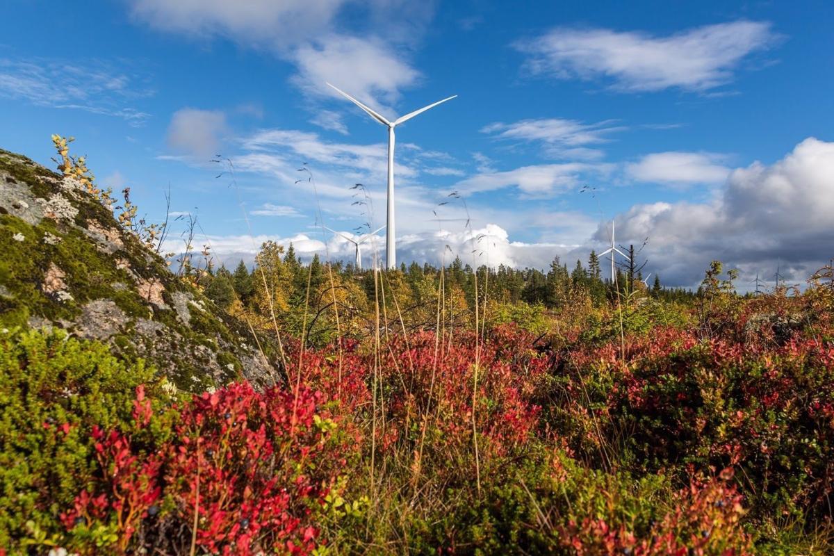 Siemens Gamesa suministrará 60 unidades de su mayor aerogenerador terrestre a un parque eólico de 372 MW en Suecia