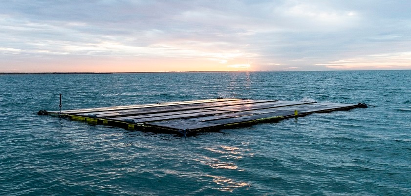 Energía solar y algas marinas, juntas en el mar por primera vez