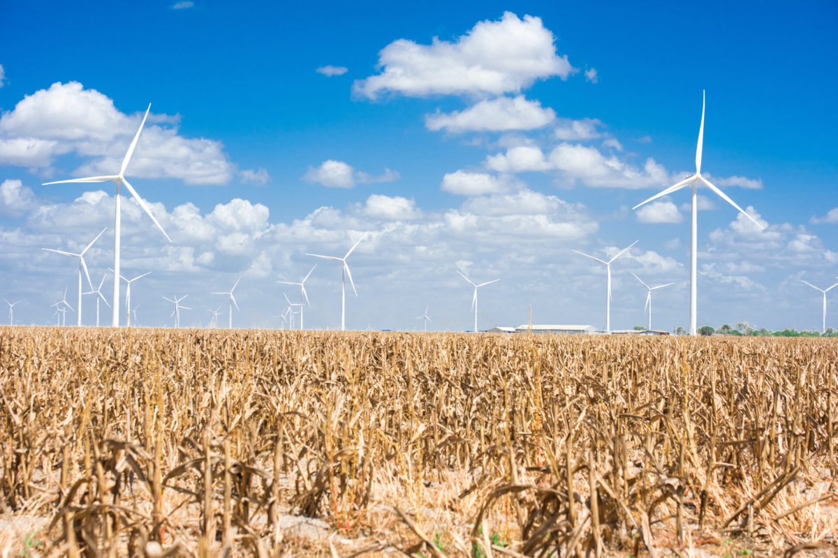 Siemens Gamesa suministrará turbinas a la danesa Orsted para un parque eólico de 298 MW en Estados Unidos