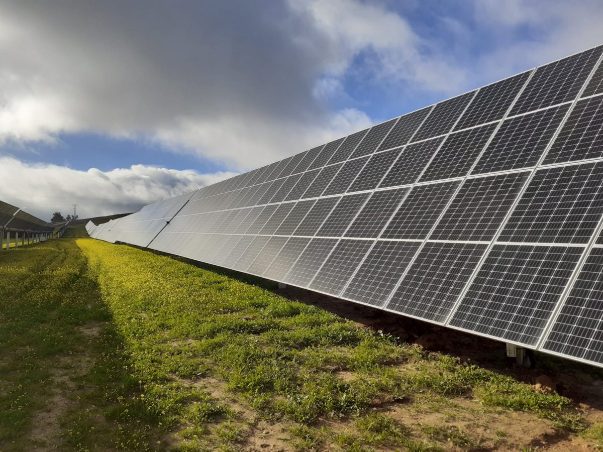 Endesa conecta a la red una nueva planta fotovoltaica de 50MW en Badajoz